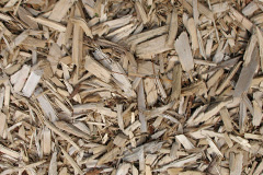 biomass boilers Kingoodie
